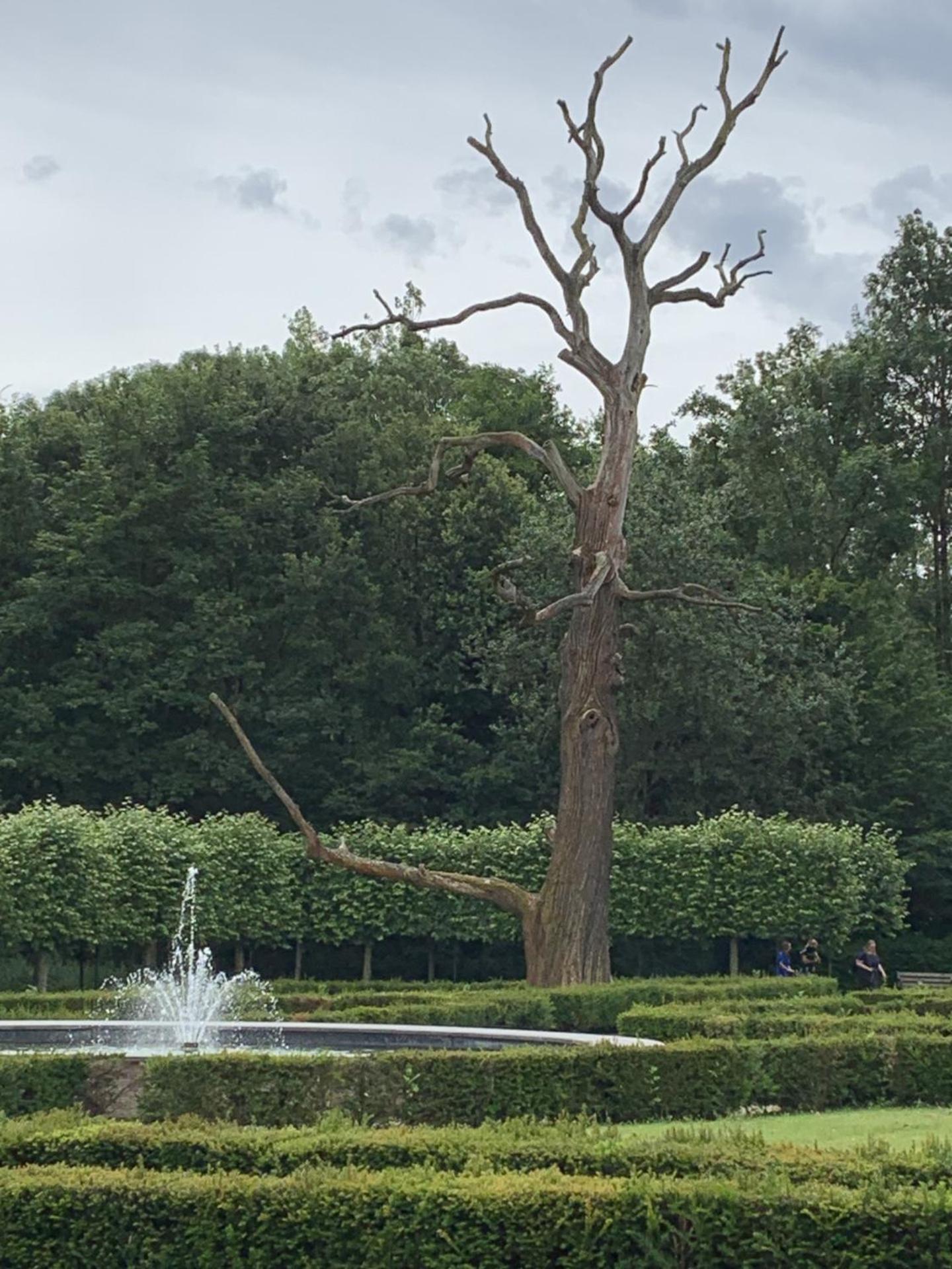 Ontdek Zuid - Limburg Ferienhaus Simpelveld